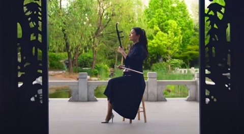 luyi01