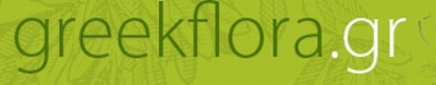 greekflora