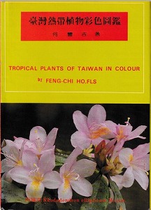 台湾熱帯植物3