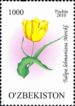 Stamps_of_Uzbekistan,_2010-69
