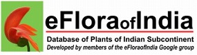 eflora